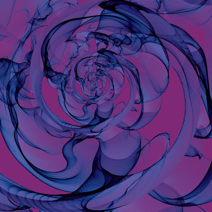 Violet Bloom