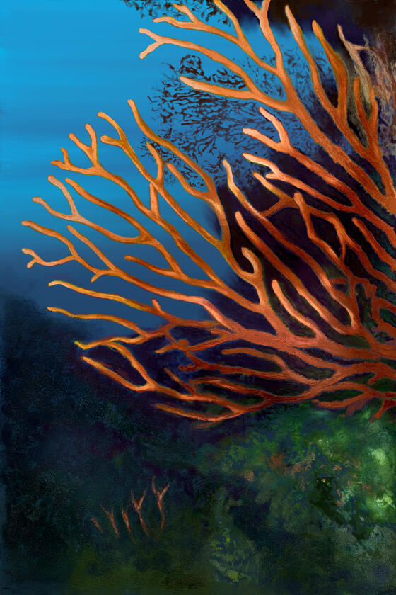 Underwater Garden
